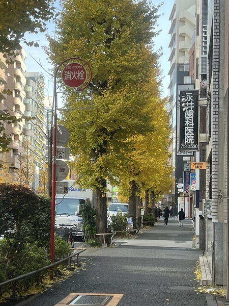 仕事で忙しい方のためのトレーニングin 代官山・中目黒・恵比寿 画像